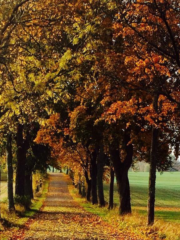 Stora Djuloe Vandrarhem Katrineholm Buitenkant foto