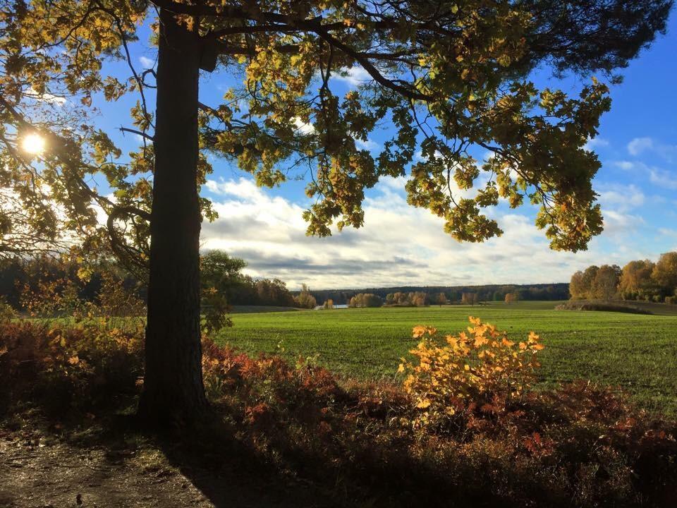 Stora Djuloe Vandrarhem Katrineholm Buitenkant foto